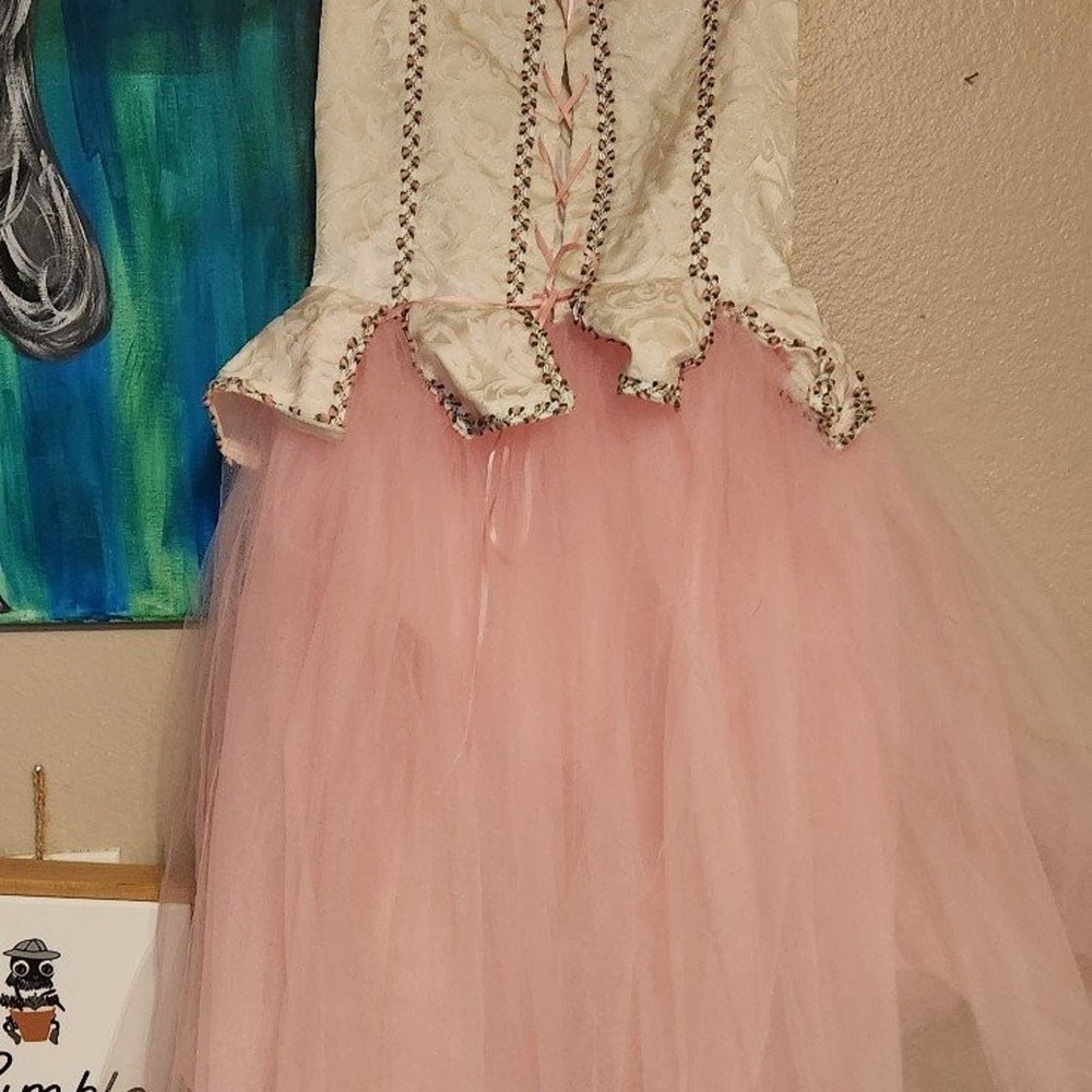 Ballet dress 12c girls by Wolff Fording white corset top roses pink tutu